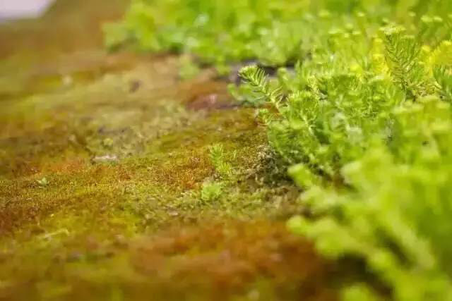 UG环球·(中国区)官方网站